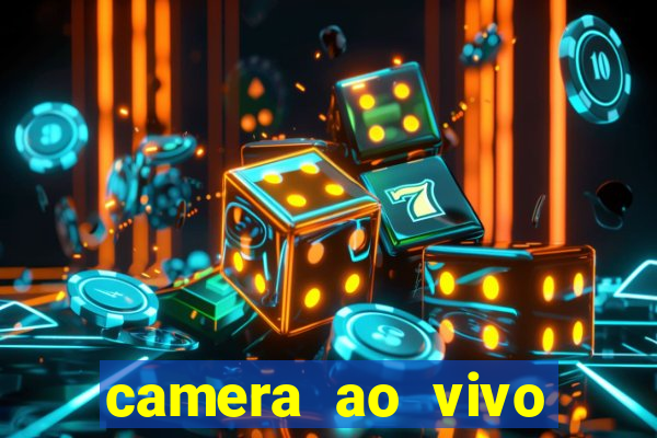 camera ao vivo beto carrero